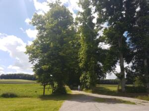 Retreat 2022 walking path