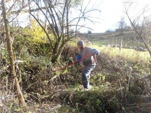 Danny working at clearing the land