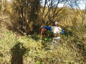 Danny working at clearing the land