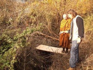 Ayya Vimala and Danny discuss the stream on the land